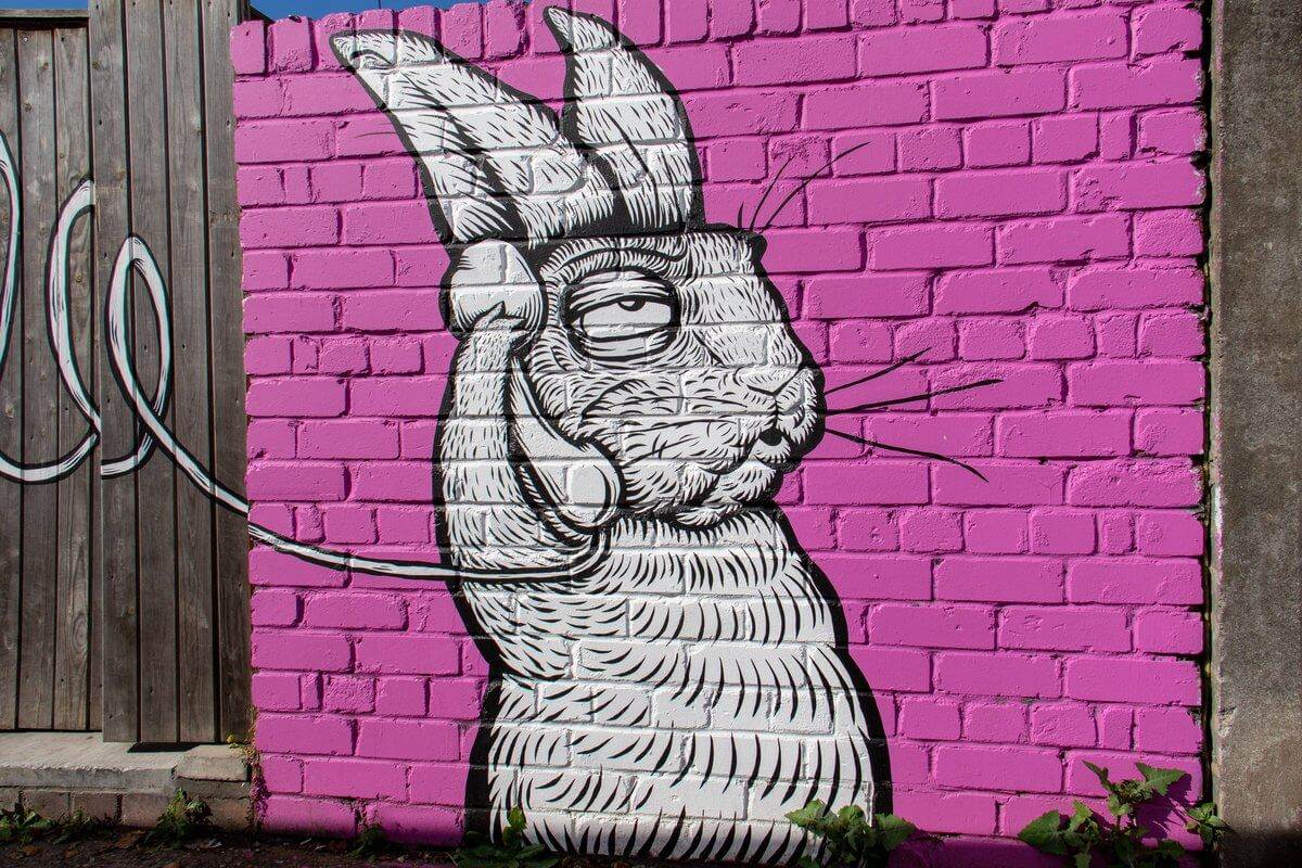 rabbit street art on pink background